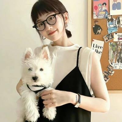 间谍嬉春