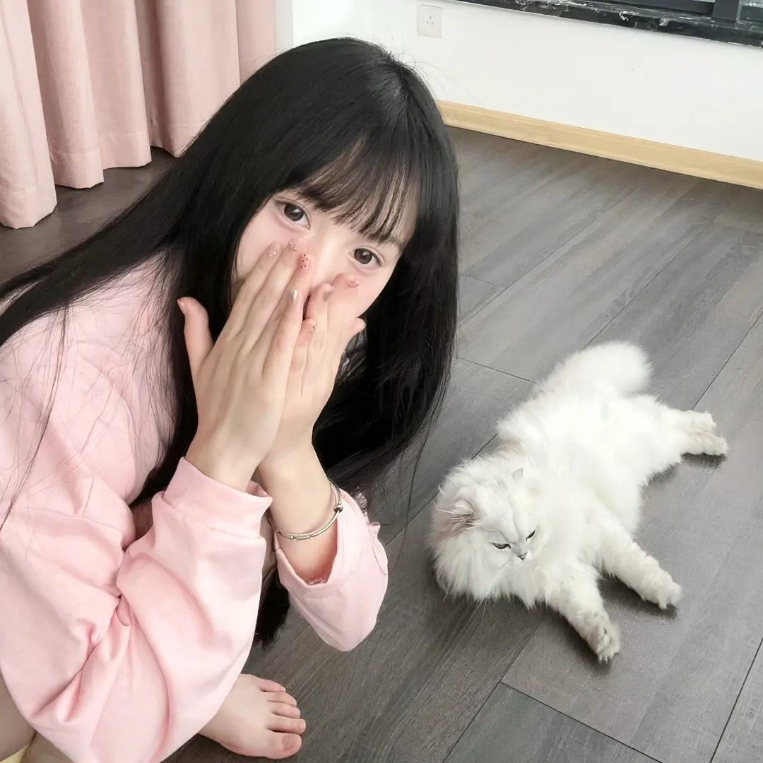 断裂 在线观看